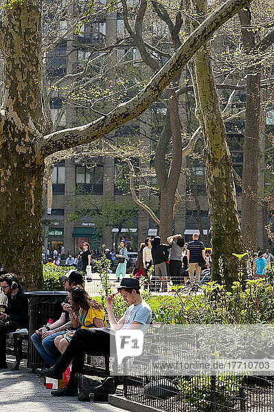 People Enjoying The Sun In Madison Square Park  Manhattan  New York  Usa