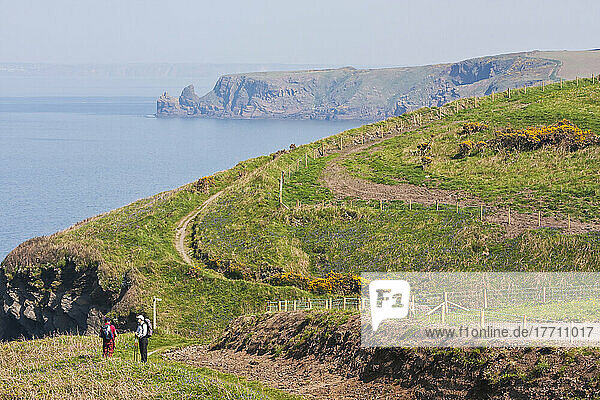 Two Hikers Between Marloes And Martin's Haven On Pembrokeshire Coast Path; Wales