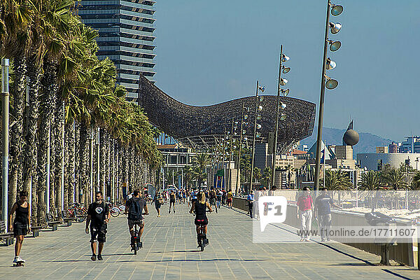 Fußgänger und Radfahrer auf der Promenade am Strand Barceloneta; Barcelona  Katalonien  Spanien