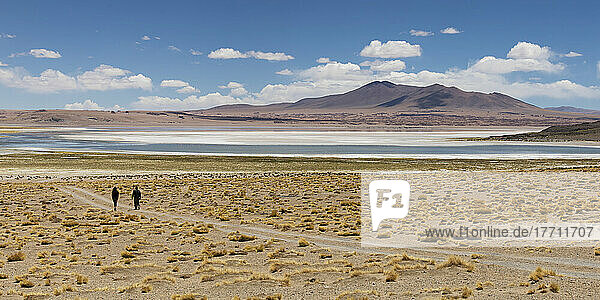 Tara-Salzebene; San Pedro De Atacama  Region Antofagasta  Chile