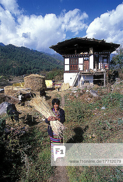 Ein typisches Haus und Land aus Holz und Lehm in Bhutan. Foto: Jill Mead/Axiom