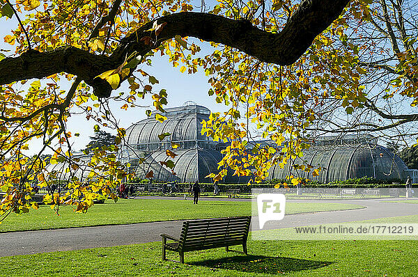 Palmenhaus  Kew Gardens; London  England