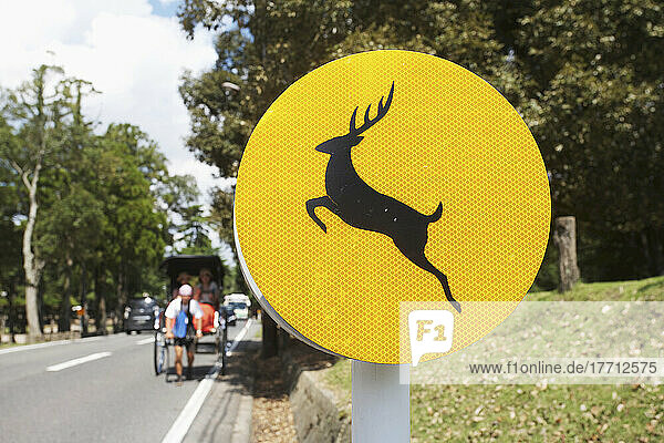 Rickshaw Puller And Deer Sign On The Road; Nara  Japan