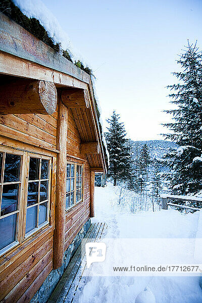 Winterliche Alpenlandschaft mit Bergen  Schnee und einem Kiefernwald mit Brekke Rental Cabins; Ortnevik  Sognefjord  Norwegen