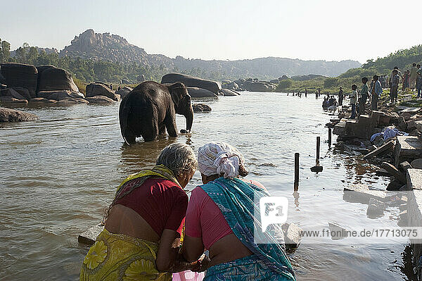 Ein Elefant watet im Fluss mit Menschen am Flussufer; Hampi  Karnataka  Indien