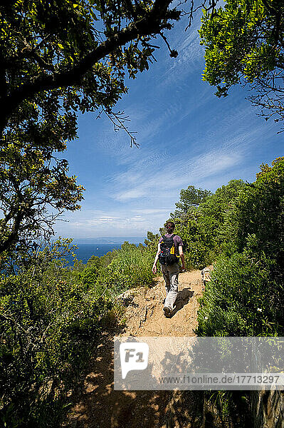 Wanderer auf einem Waldweg auf der Insel Port-Cros  Nationalpark Port-Cros; Provence  Frankreich