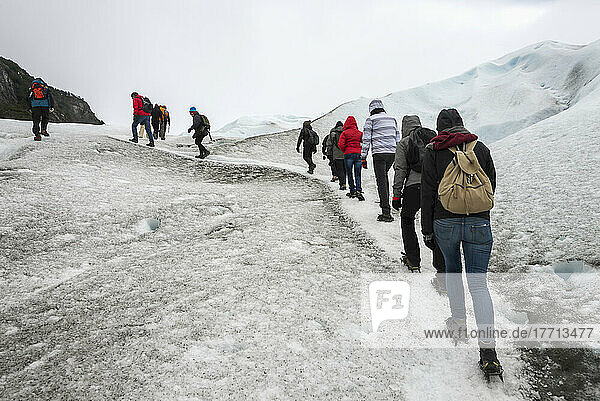 Touristen wandern auf dem Moreno-Gletscher  Nationalpark Los Glaciares; Provinz Santa Cruz  Argentinien
