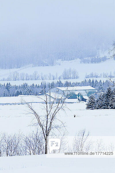 Bauernhof Struktur in Nebel und Schnee; Saint-Adrien-D'irlande Quebec Kanada