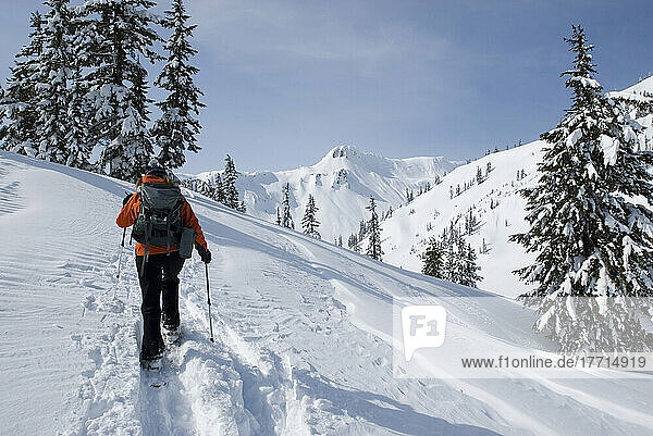 Frau beim Schneeschuhwandern am Mount Baker  Mount Baker Wilderness/Snoqualmie National Forest  Washington State