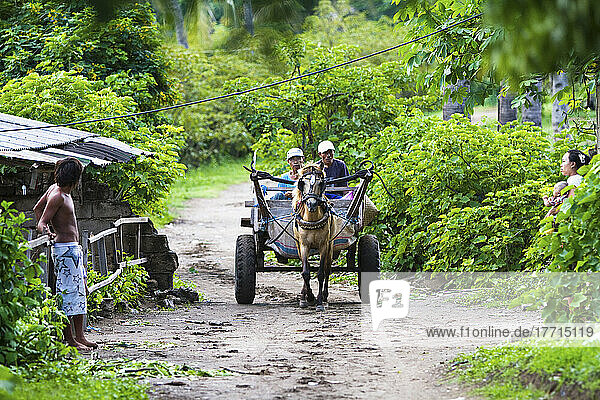 Pferdekutschen sind das Haupttransportmittel auf der Insel Gili Trawangan  Indonesien
