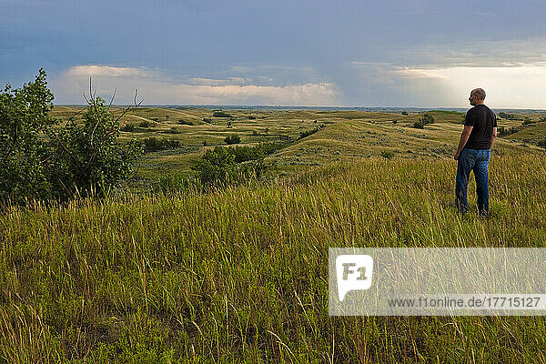 Man Standing On A Hillside Watching A Storm As It Passes By Him At The Great Sandhills; Saskatchewan  Canada