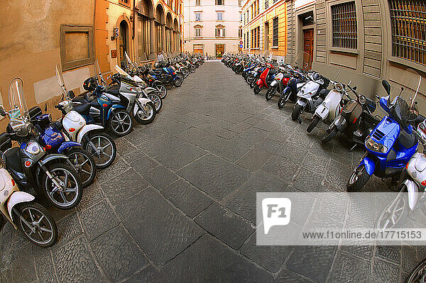 Rows Of Mopeds; Florence  Tuscany  Italy