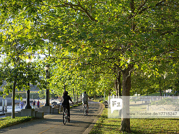Radfahrer genießen den sonnigen Weg entlang des Hafenviertels von Vancouver; Vancouver  British Columbia  Kanada