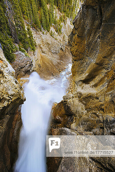Wahl des Künstlers: Panther Falls  Banff National Park  Alberta