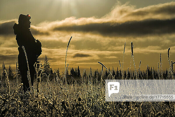 Silhouette einer Person  die auf einem Feld steht und bei Sonnenaufgang nach Eisbären an der Küste der Hudson Bay Ausschau hält; Churchill  Manitoba  Kanada