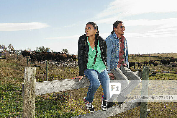 Einheimisches amerikanisches Mädchen und Junge sitzen auf einem Ranchzaun; Rossburn  Manitoba  Kanada