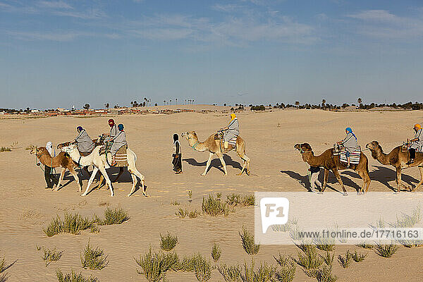 Touristen genießen einen Kamelritt in der Wüste; Zaafrane  Tunesien  Nordafrika