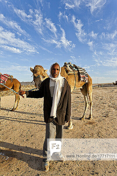 Kameltreiber und Kamele in der Wüste; Zaafrane  Tunesien  Nordafrika