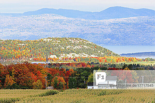 Blick auf ein Haus jenseits eines Feldes mit dem Sankt-Lorenz-Strom und den Bergen im Hintergrund  Saint-Pascal  Region Bas-Saint-Laurent  Quebec