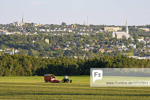 Landwirt beim Heumähen auf dem Feld und Dorf bei Sonnenuntergang  Region Bas-Saint-Laurent  Riviere-Du-Loup  Quebec