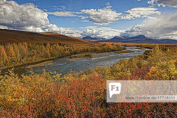 Upper Blackstone River fließt im Herbst entlang des Demspter Highway nach Norden; Yukon Kanada