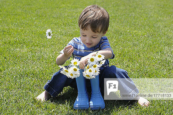 Little Boy Placing Flowers Into Rubber Boots