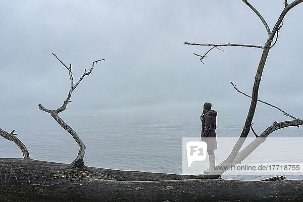 Stehende Frau mit Blick auf den See  der den Point Pelee National Park  Ontario  umgibt; Point Pelee  Ontario  Kanada