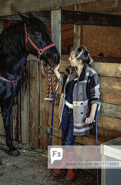 Ein junges Mädchen mit Cerebralparese mit einem Pferd in einer Scheune während einer Hippotherapie-Sitzung; Westlock  Alberta  Kanada