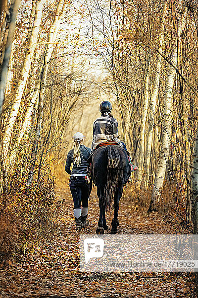 Ein junges Mädchen mit Cerebralparese und ihr Trainer arbeiten mit einem Pferd bei einem Ausritt während einer Hippotherapie-Sitzung; Westlock  Alberta  Kanada