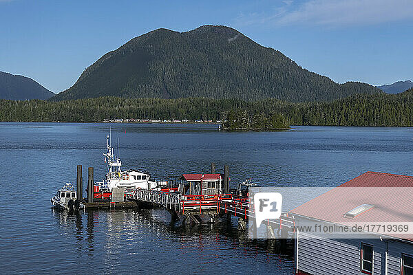Ruhige Szene am Wasser in Tofino  Vancouver Island; Tofino  British Columbia  Kanada
