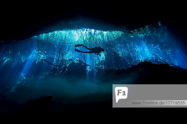 Silhouette eines Höhlentauchers bei der Erkundung einer Cenote oder eines Erdlochs; Tulum  Quintana Roo  Mexiko
