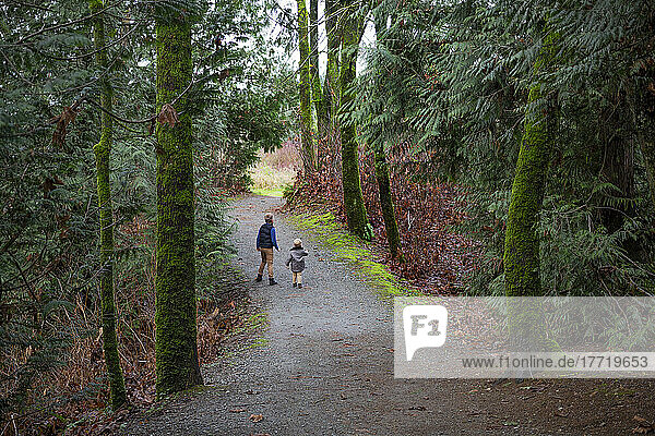 Young brothers walk together and explore on a park trail; Aldergrove  British Columbia  Canada