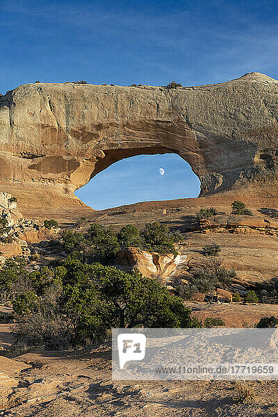 Blick auf den Mond durch den Wilson Arch  nahe Moab  Utah  USA; Moab  Utah  Vereinigte Staaten von Amerika