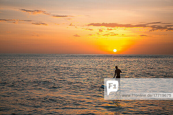 Paddleboarder on the Pacific Ocean at sunset; Cabo San Lucas  Baja California Sur  Mexico