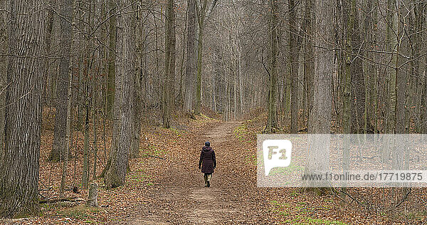 Frau geht durch einen Waldweg in Ontario; St. Thomas  Ontario  Kanada