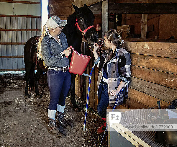 Ein junges querschnittsgelähmtes Mädchen füttert ein Pferd mit ihrem Trainer während einer Hippostherapie-Sitzung; Westlock  Alberta  Kanada