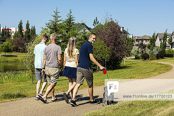 Familie mit zwei Söhnen im Teenageralter geht an einem schönen sonnigen Tag zusammen mit ihrem Hund in einem Park in der Nachbarschaft spazieren; Edmonton  Alberta  Kanada