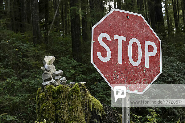 Nahaufnahme eines Stoppschilds neben einem Waldgebiet mit Moos und einem Steinhaufen im Hintergrund in der Gemeinde Bamfield auf Vancouver Island; Bamfield  British Columbia  Kanada