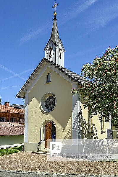 Lourdeskapelle von 1895 und rot blühende gewöhnliche Rosskastanie (Aesculus hippocastanum)  Oberstaufen  Allgäu  Bayern  Deutschland  Europa