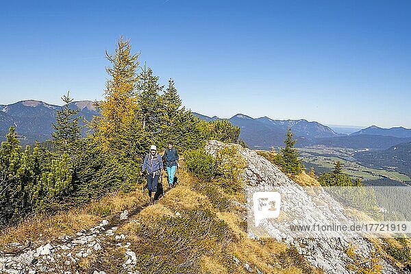 Two hikers in autumn  mountains behind  near Scharnitz  Bavaria  Germany  Europe