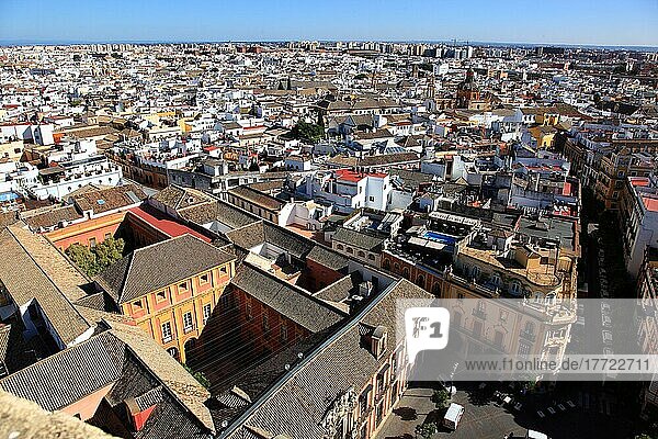 Old Town of Seville  View of the City from the Cathedral Tower  Andalusia  Spain  Europe