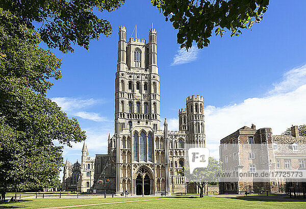 Ely Cathedral (Cathedral Church of the Holy and Undivided Trinity) from Palace Green  Ely  Cambridgeshire  England  United Kingdom  Europe