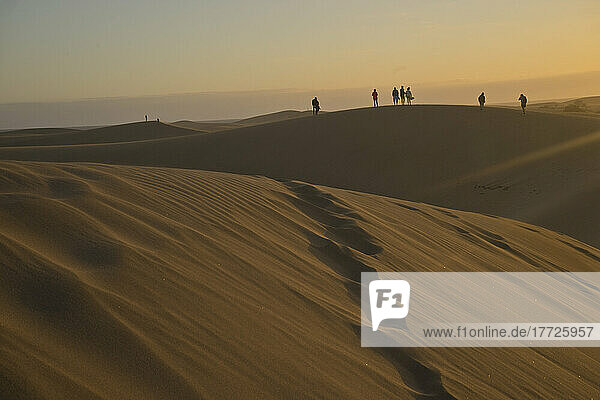 Young people watching the sunset at Maspalomas sand dunes  near Playa de los Ingleses  Gran Canaria  Canary Islands  Spain  Atlantic  Europe