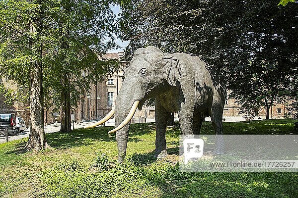 Elephant Fritz  Stupinigi Hunting Lodge  Stupinigi  Turin  Piedmont  Italy  Europe