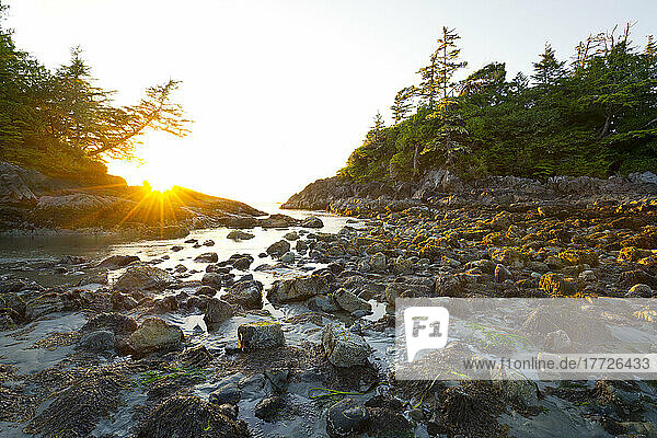 Sunset at Mackenzie Beach  Tofino  Vancouver Island  British Columbia  Canada  North America