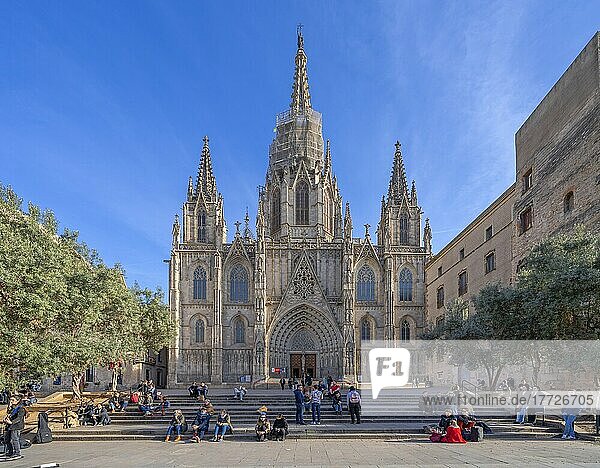 Die Kathedrale (Catedral de la Santa Creu i Santa Eulalia)  Barcelona  Katalonien  Spanien  Europa