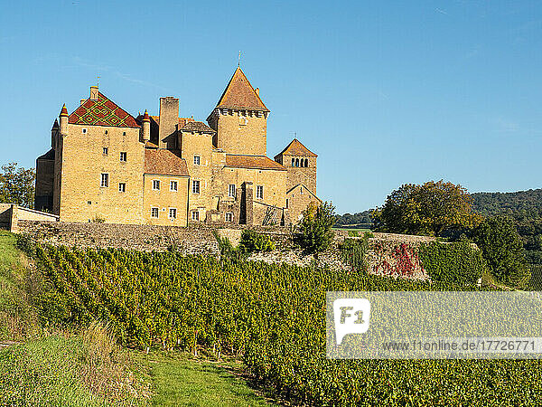 The Pierreclos Chateau and winery near Macon  Saone-et-Loire  Burgundy  France  Europe