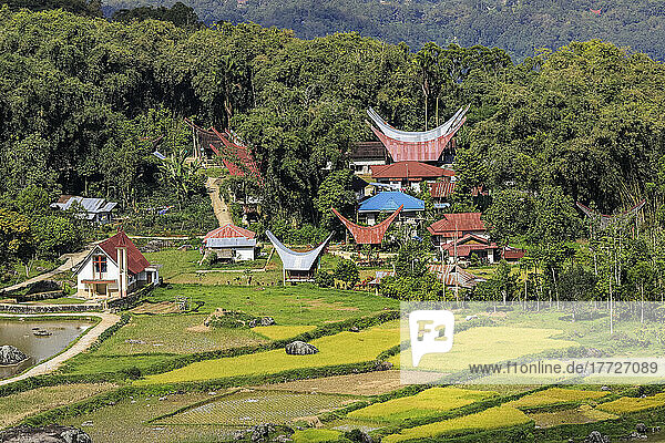 Church and tongkonan houses at Lempo amidst the Batutumonga rice paddies  Batutumonga  Rantepao  Toraja  South Sulawesi  Indonesia  Southeast Asia  Asia