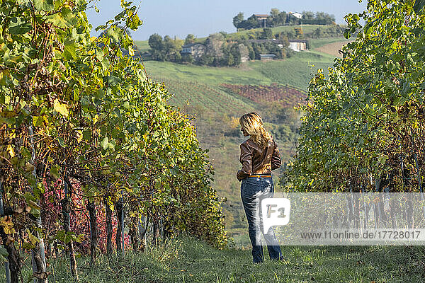 Woman in a brown jacket standing in the middle of a yellow vineyard in autumn  Castelvetro di Modena  Emilia Romagna  Italy  Europe