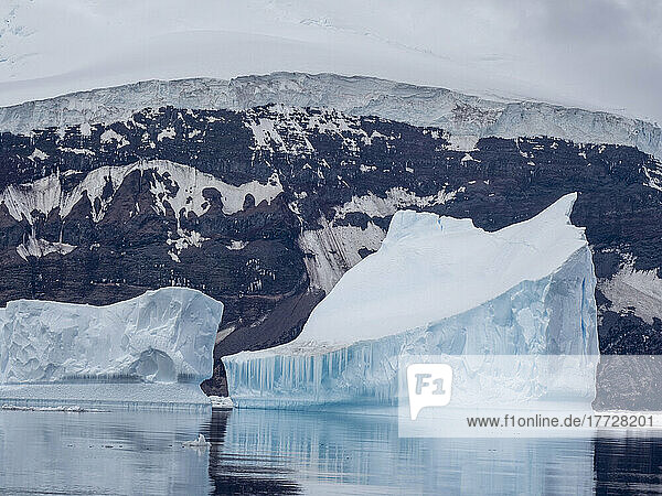 Icebergs surround the glacier covered volcano called Peter I Island in the Bellingshausen Sea  Antarctica  Polar Regions